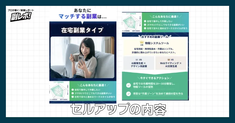 セルアップの内容