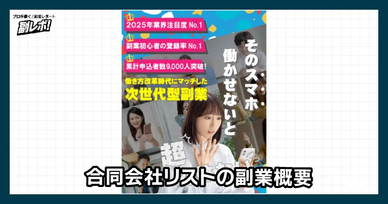 合同会社リストの副業概要