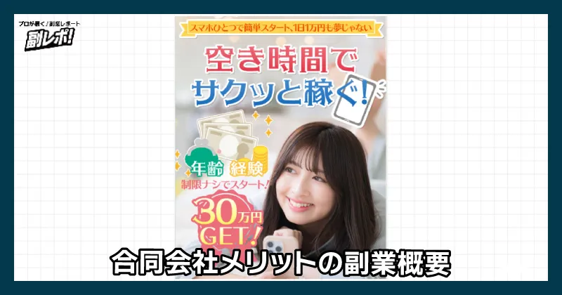 合同会社メリットの副業概要について