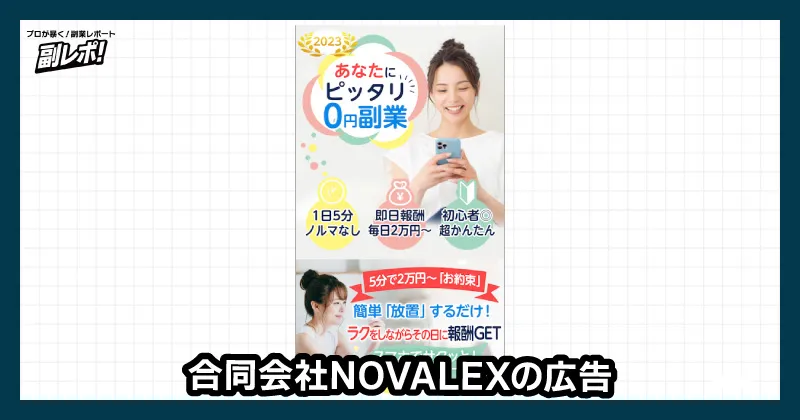 合同会社NOVALEXについて