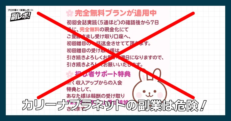 カリーナプラネットの副業は危険