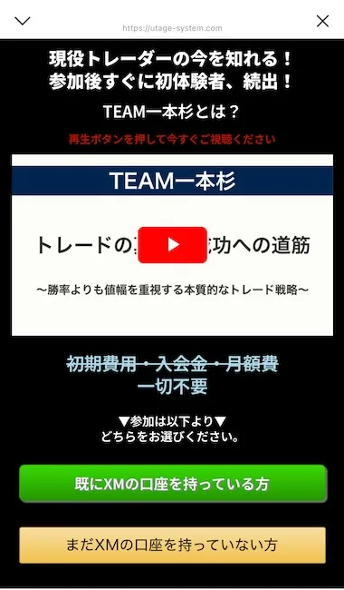 TEAM一本杉の説明動画