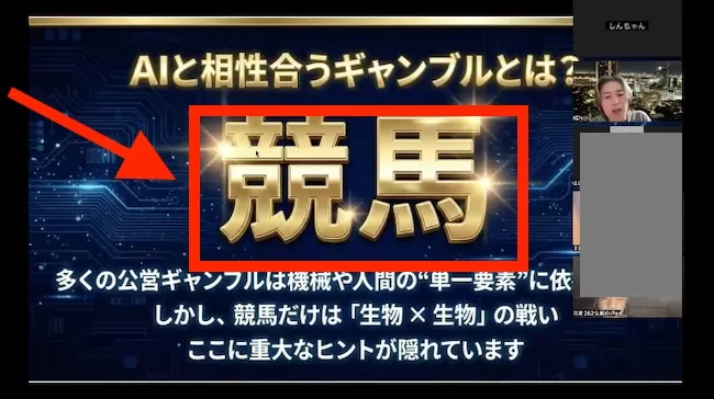 AIFAの投資内容は競馬