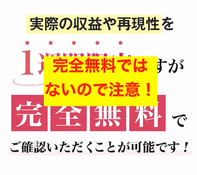 合同会社Ananの副業は無料ではない