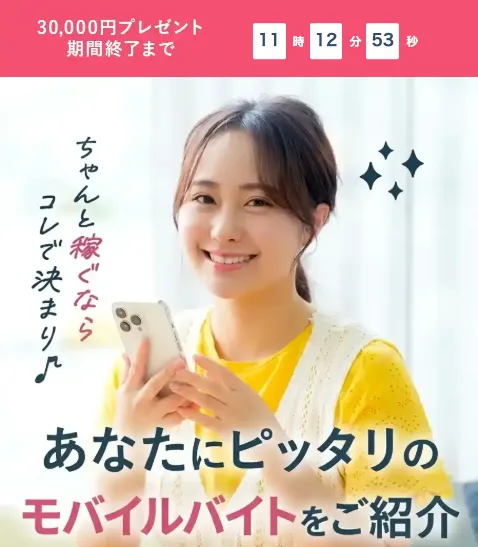 NOVA STRATEGY PTE. LTD.の副業について