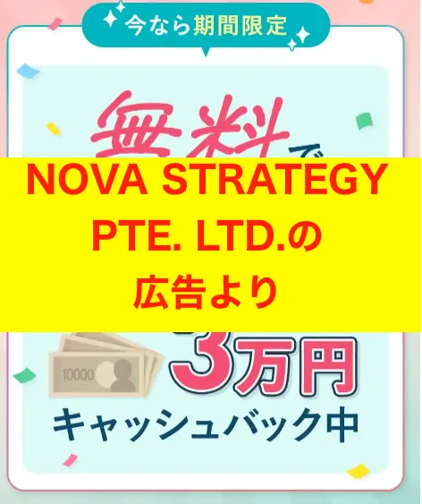 NOVA STRATEGY PTE. LTD.の副業について