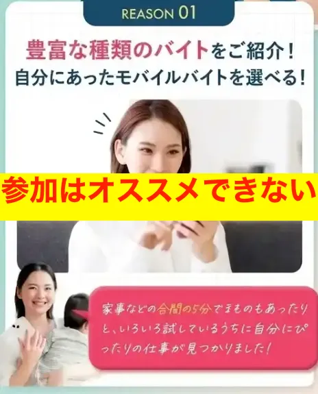 NOVA STRATEGY PTE. LTD.の副業はおすすめできない