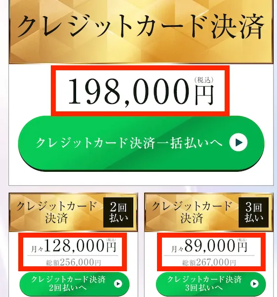 眞殿勝年のDYNASTYの参加費用は198,000円
