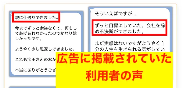 IREGUIプロジェクトの広告に記載されていた利用者の声
