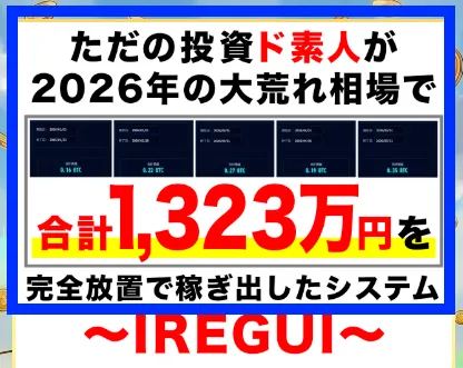 IREGUIプロジェクトの説明（広告より）