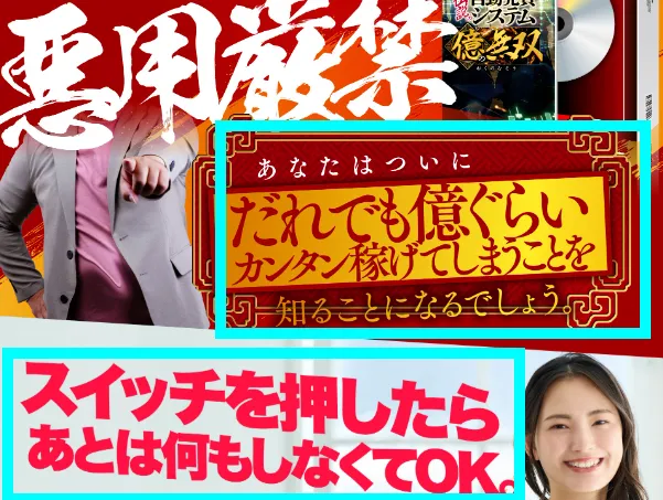 「だれでも置くぐらいカンタンに稼げる」「スイッチを押したら何もしなくてOK」との記載