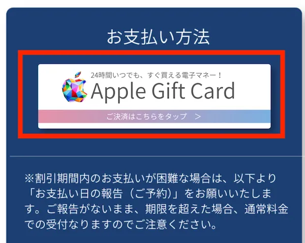 支払い方法はアップルギフトカードのみ