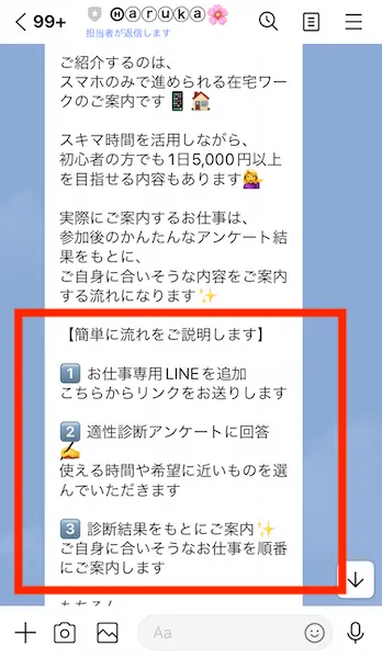 実際に送られてきた副業に関する説明のスクリーンショット