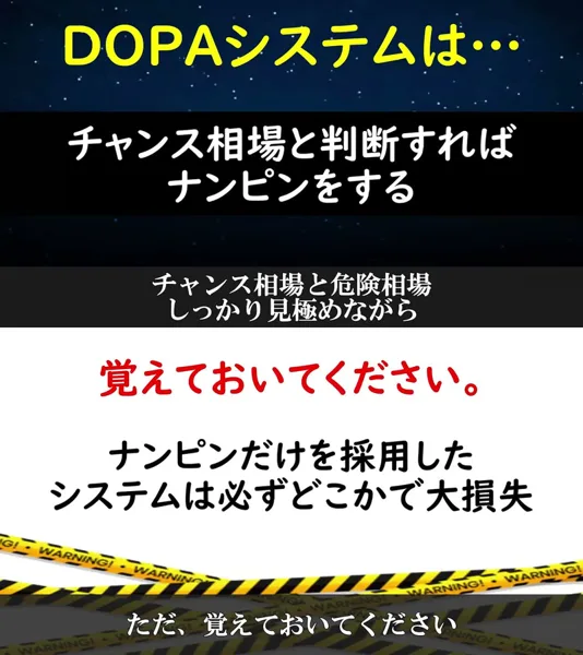 DOPAはナンピンを使いナンピンだけのシステムは大損失になると説明する画面